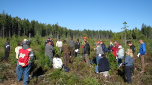 ABCFP Forest Professionals