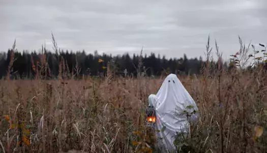 show this ghost lost in a field how to make time for association programs